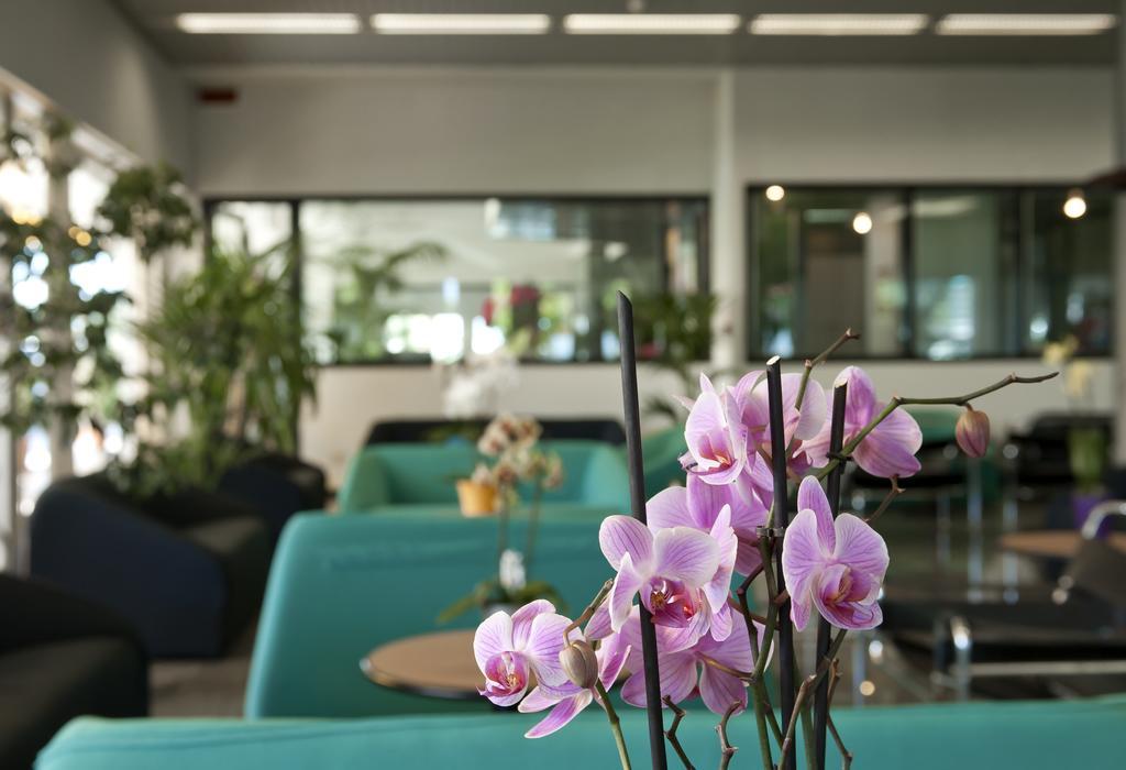 Hotel Cormoran Cattolica Esterno foto