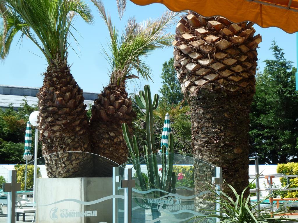 Hotel Cormoran Cattolica Esterno foto